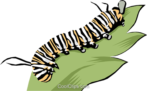 Caterpillar Royalty Free Vector Clip Art Illustration - Chenille (480x298)