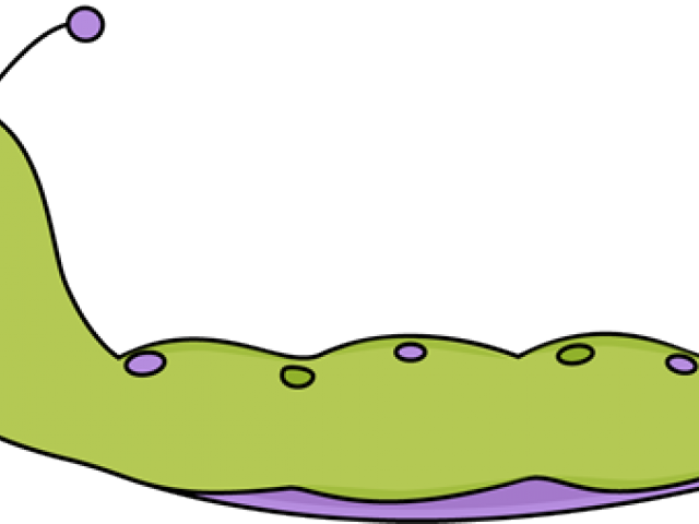 Caterpillar Clipart Caterpillar Leg - Caterpillar Clipart Caterpillar Leg (640x480)