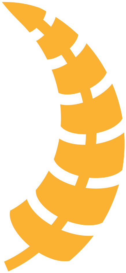 Documentation Current Link - Documentation Current Link (450x950)