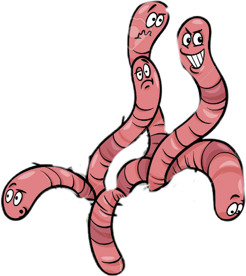 Can Worms (480x537)