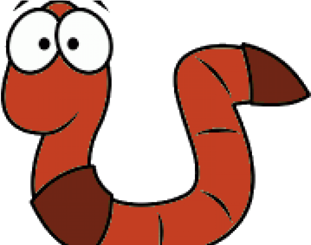 Red Wiggler Worms (640x480)