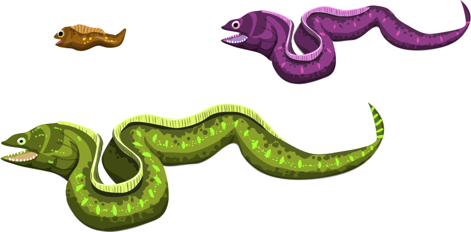 Image Description - Illustration (955x472)