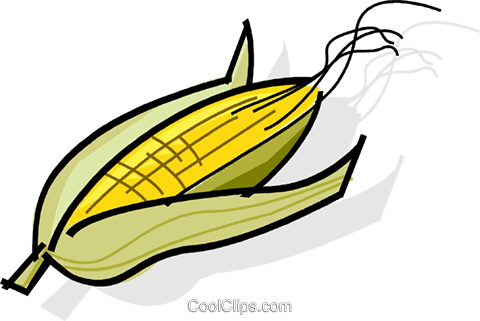 Cobs Of Corn Royalty Free Vector Clip Art Illustration - Cobs Of Corn Royalty Free Vector Clip Art Illustration (480x321)