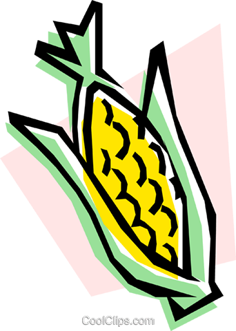 Corn On The Cob Royalty Free Vector Clip Art Illustration - Corn On The Cob Royalty Free Vector Clip Art Illustration (342x480)