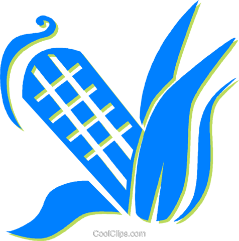 Corn On The Cob Royalty Free Vector Clip Art Illustration - Corn On The Cob Royalty Free Vector Clip Art Illustration (476x480)
