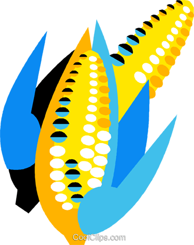 Cobs Of Corn Royalty Free Vector Clip Art Illustration - Cobs Of Corn Royalty Free Vector Clip Art Illustration (381x480)