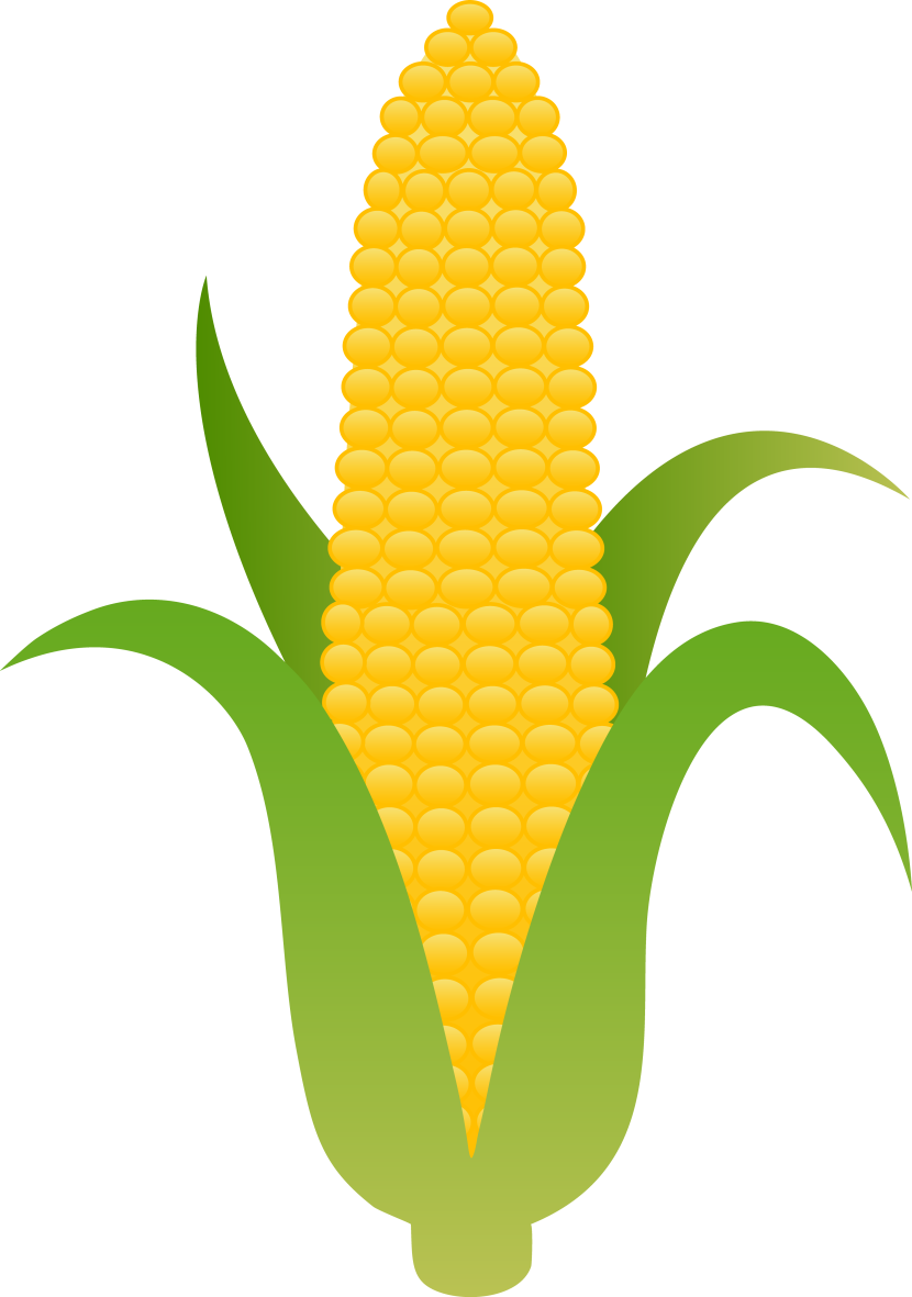 Corn Clipart Aztec - Ear Of Corn Clip Art (830x1181)