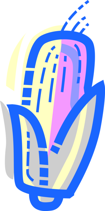 Vector Illustration Of Corn Cob Maize Grain Plant Husk - Vector Illustration Of Corn Cob Maize Grain Plant Husk (350x700)
