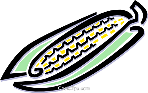Cob Of Corn Royalty Free Vector Clip Art Illustration - Emblem (480x303)