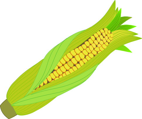 Icone Plantes Utiles - Corn Icon Png (486x406)