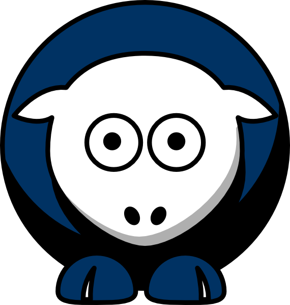 South Carolina Football Team Colors (570x598)