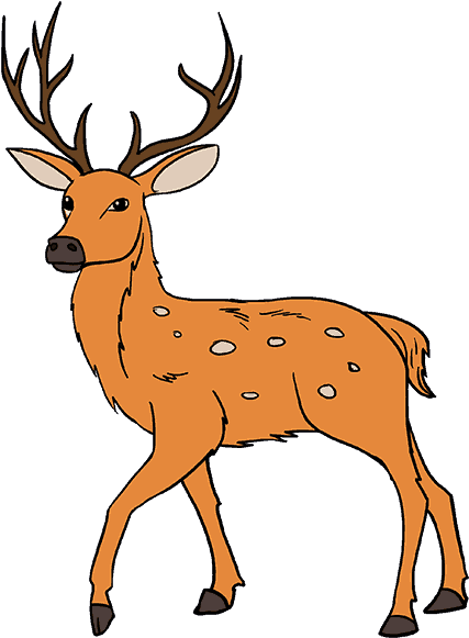 678 X 600 13 - Drawing Of Deer With Colour (678x600)