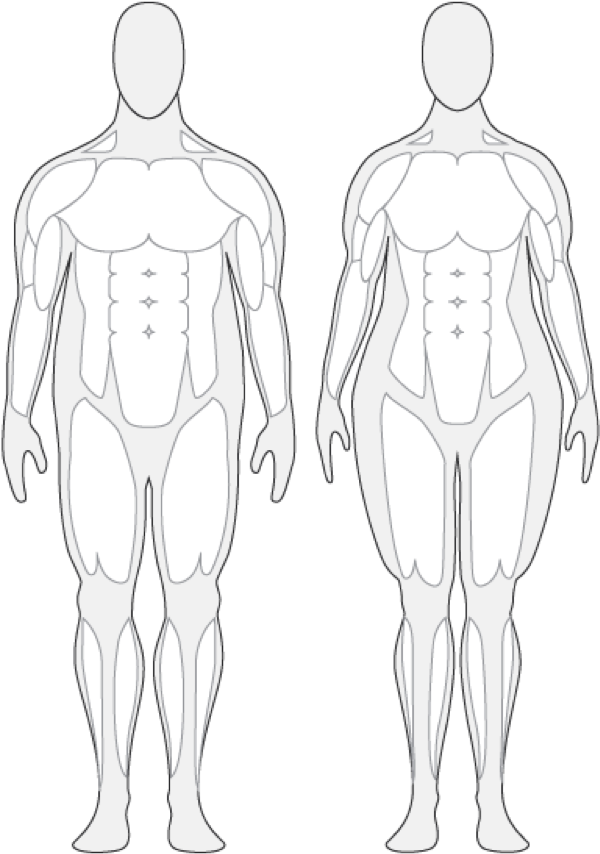 Body Composition - Overweight Human Body (625x938)
