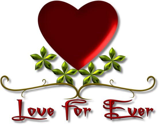 Image Du Blog Zezete2 - Heart (600x513)