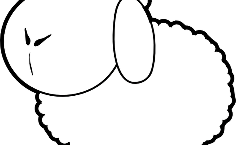 Sheep Outline Clip Art At Clkercom Vector Clip Art - Clip Art (800x491)
