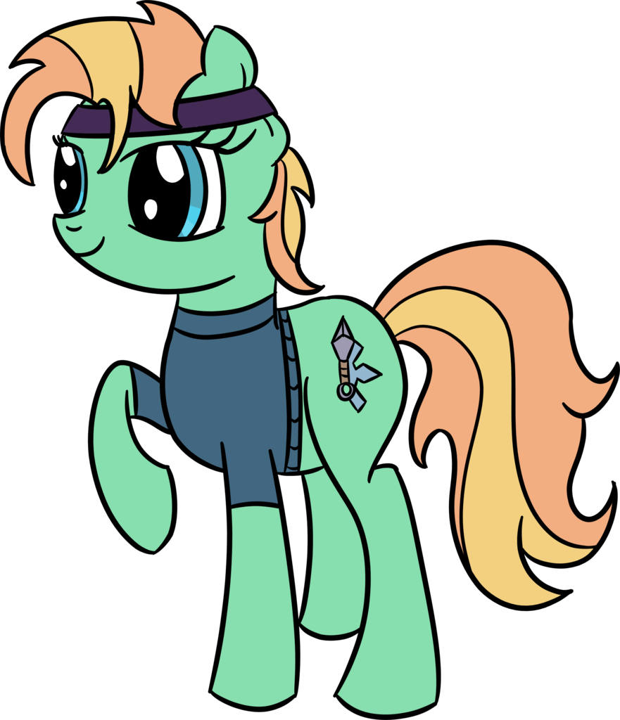 Ninja Clipart Bandana - Cartoon (881x1024)