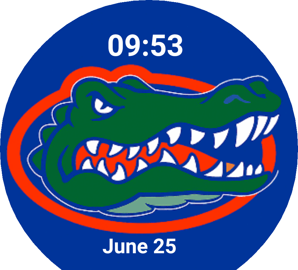 Florida Gators - Florida Gators (960x870)