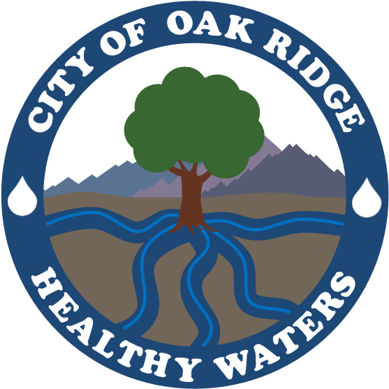 Healthy Waters Programs - Key Club International (556x563)