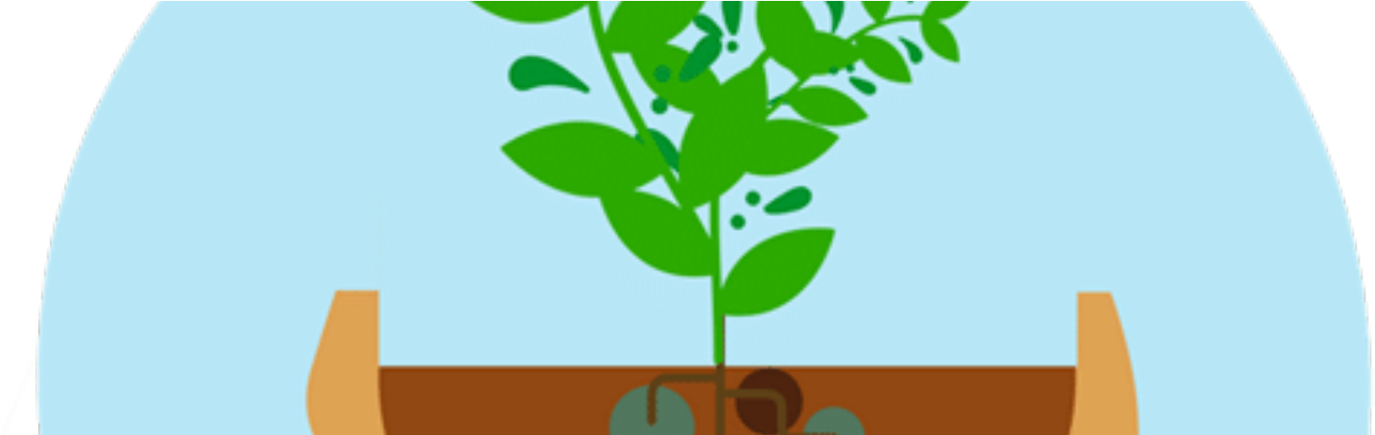 How To Adopt The Secret To Start-up Success - Growth Mindset Png (1600x480)