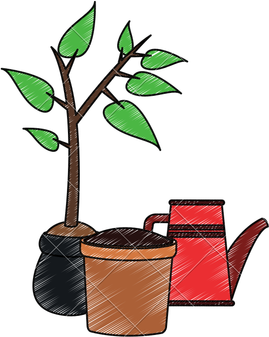 Plant With Pot And Water Can Scribble - Houseplant (800x800)