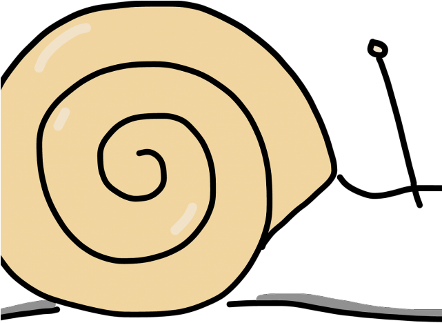 Mollusc Clipart Veterans Day - Mollusc Clipart Veterans Day (640x480)