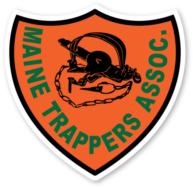 Maine Trappers Association Fur Auction Results - Maine Trappers Association (640x625)