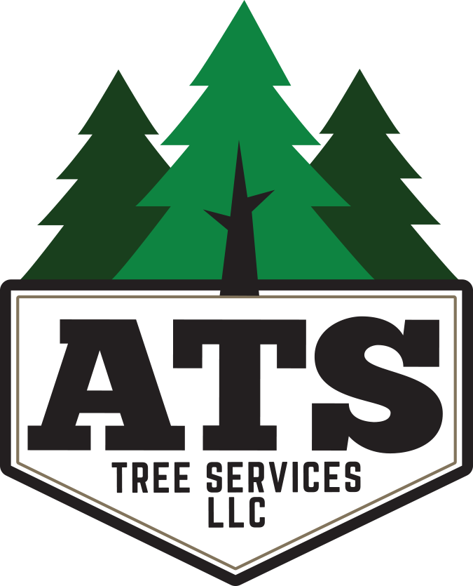 Ats Logo Stump Contact - Ats Logo Stump Contact (675x835)
