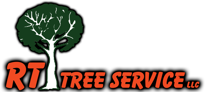 Rt Tree Service Pros - Broccoli (889x403)