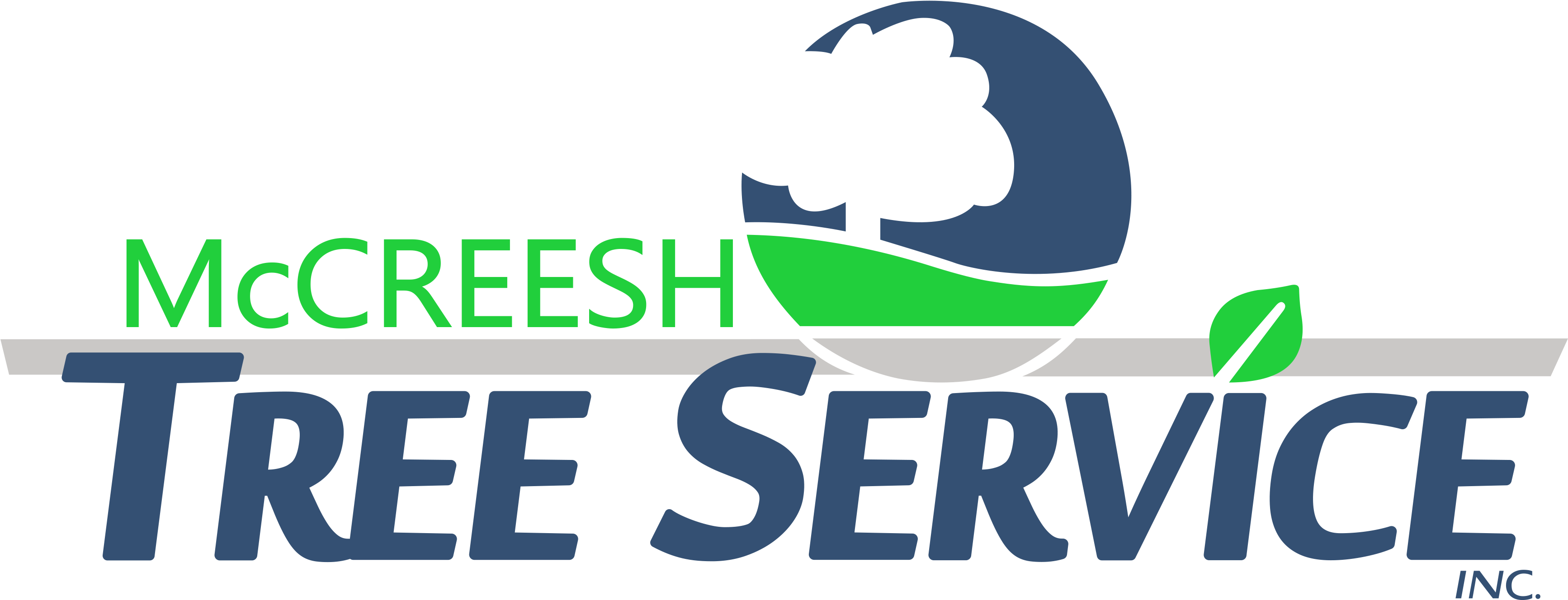 Tree Service Bucks County Pa - Graphic Design (3467x1367)