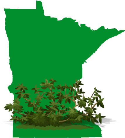 Brush And Tree Removal, Grove Clean Out - State Of Minnesota Shape (512x512)
