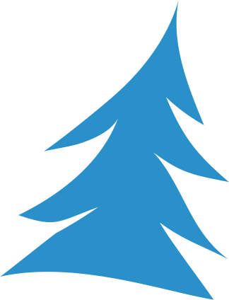 Download - Colorado Spruce (324x424)