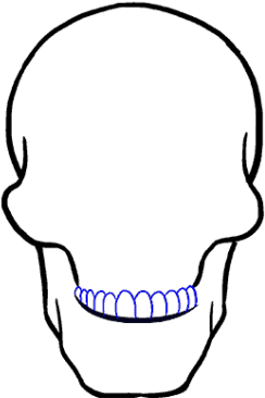 Drawn Teeth Head - Skull (640x480)
