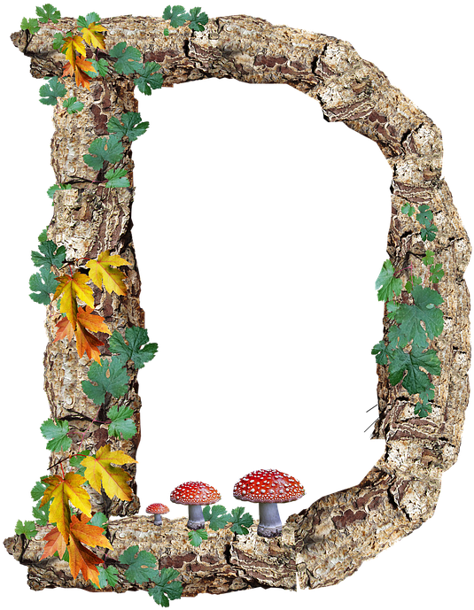 Alphabet, Letter, Rustic, Timber, Bark - Arch (566x720)