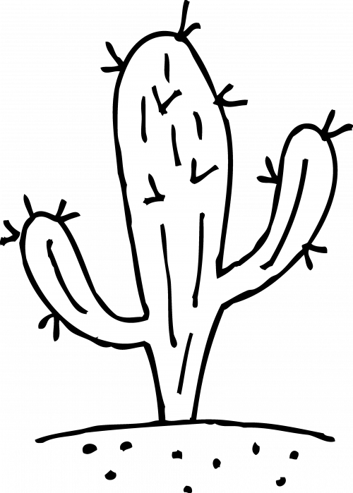 Christmas Cactus Coloring Page With Images For Preschool - Transparent Cactus Clipart (500x699)
