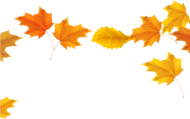 Leaves Clipart Transparent Background - Fall Leaves Transparent Background (640x480)