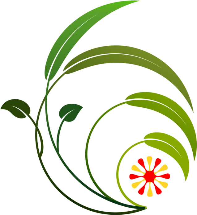 All Photo Png Clipart - All Photo Png Clipart (750x750)