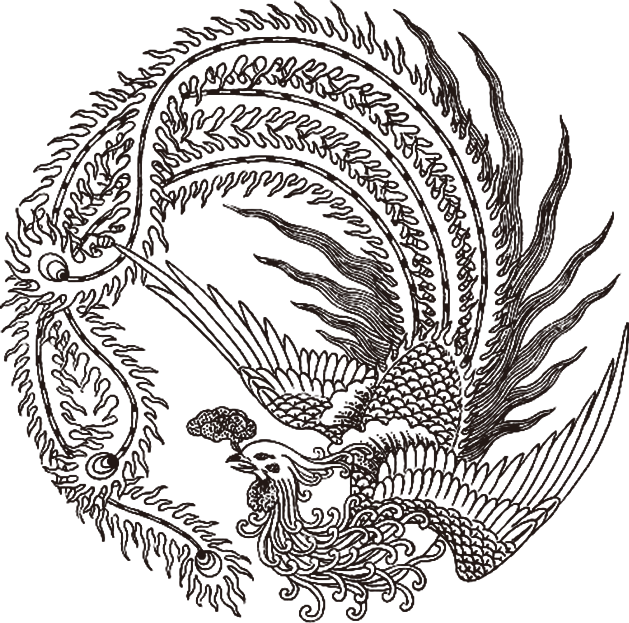 2083 X 2050 18 - Chinese Phoenix Tattoo (2083x2050)