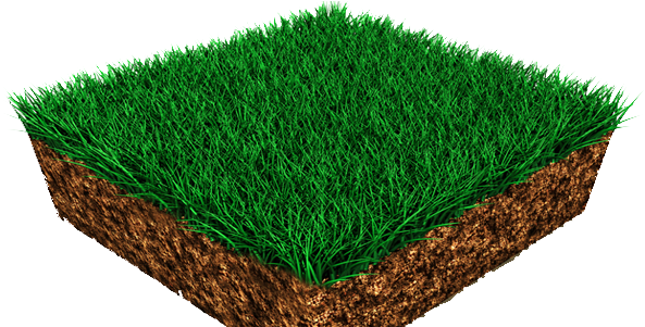 Care Akron Ohio Tree Shrub And Pest - Knitting (600x300)