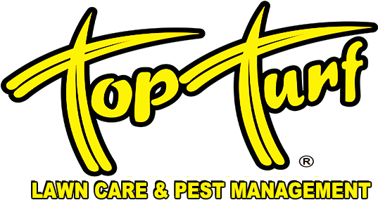 Top Turf Logo - Top Turf (536x295)