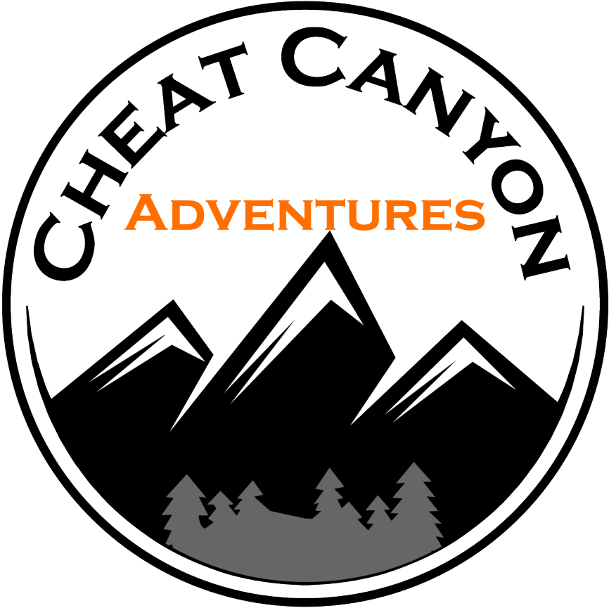 Cheat Canyon Adventures Logo - Bluestone Physician Services (900x897)