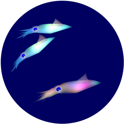 Animals - Calamar 矢量 Imagenes De Animales Moluscos (500x500)