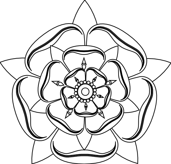 Line Art Flowers - Tudor Rose To Colour (555x530)