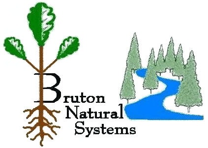 Bruton Natural Systems - Cypress Family (445x318)