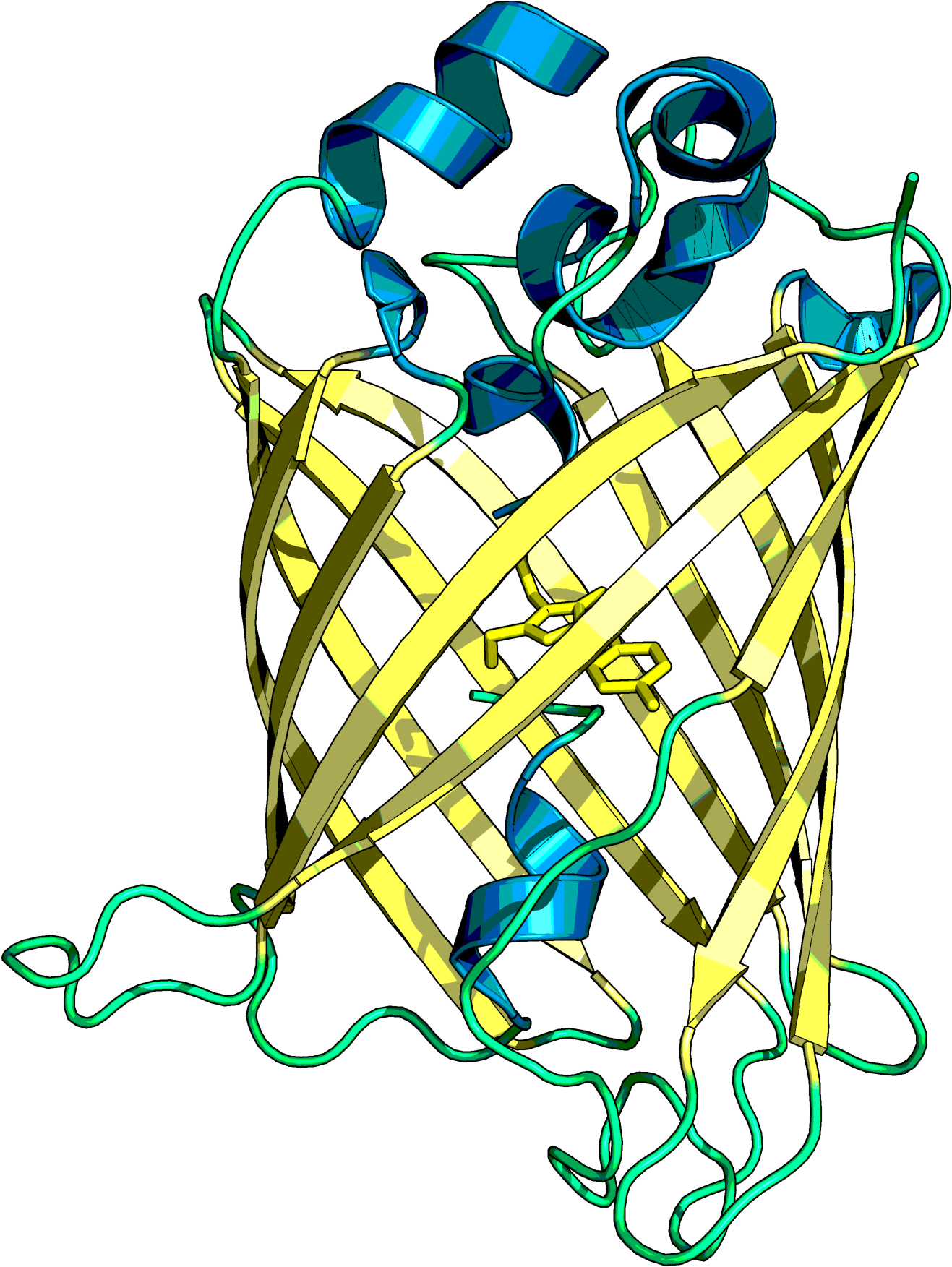 Cyrstal Structure Of The Mvenus Reporter Protein Without - Illustration (1400x1800)