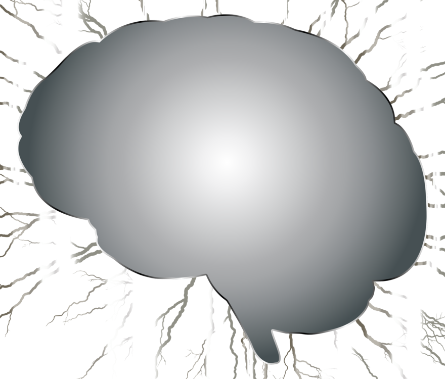 Computer Icons Brain Organ - Black Brain Png (880x750)