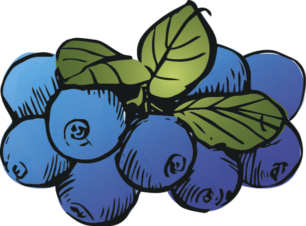 Organic Mueslies - Cartoon (612x451)