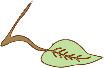 Logo Leaf Line Shoe - Logo Leaf Line Shoe (530x750)