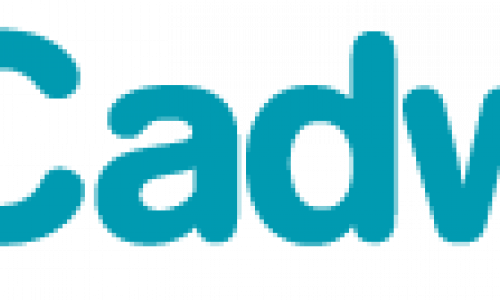 Charity Shout Out Cadwyn Housing - Charity Shout Out Cadwyn Housing (500x300)