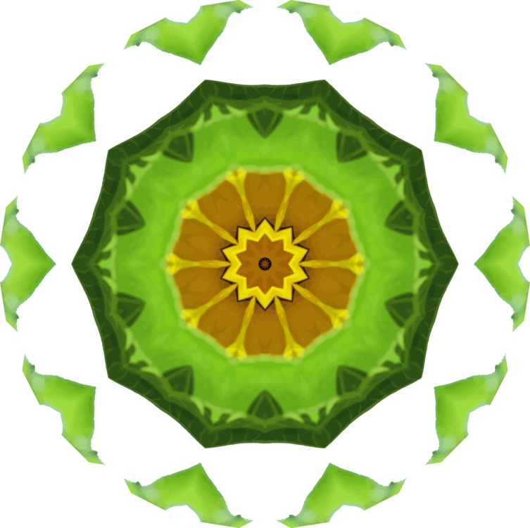 Common Sunflower Plants Leaf Sunflower M Oil - Illustration (753x750)
