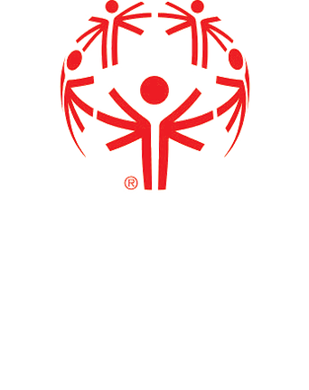 The New Year's Eve - Special Olympics Abu Dhabi 2019 (342x431)